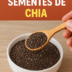 🌱 O Poder das Sementes de Chia: Um Superalimento Para o Intestino e a Barriga